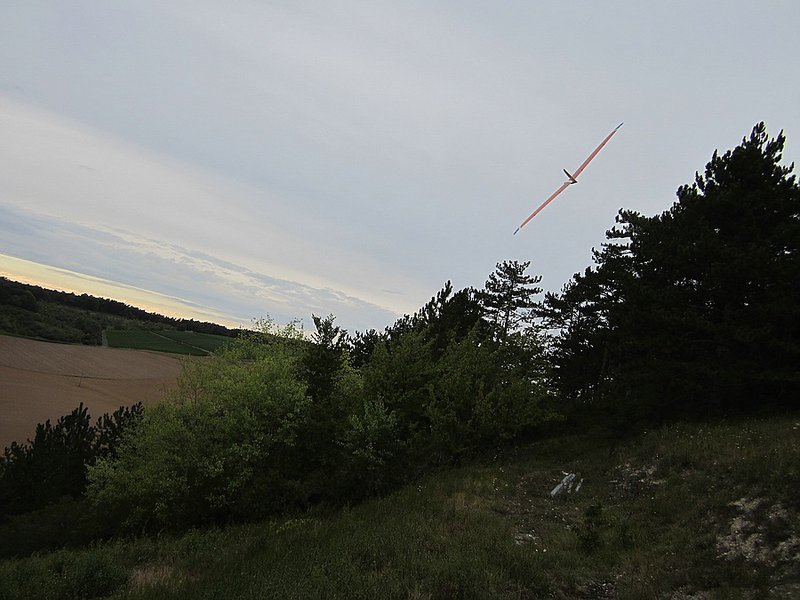 KleinIMG_1186.jpg