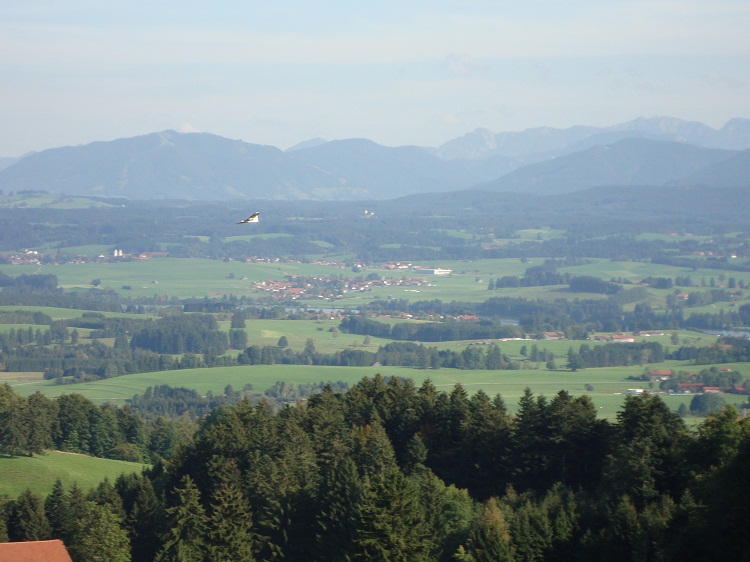DSC01015.JPG