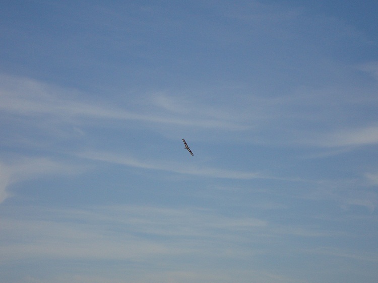 DSC01002.JPG