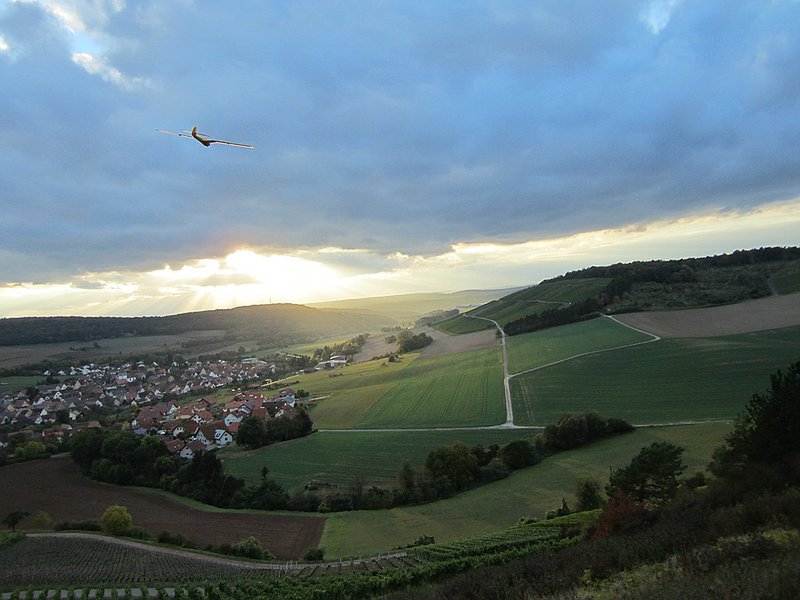 KleinIMG_1782.jpg
