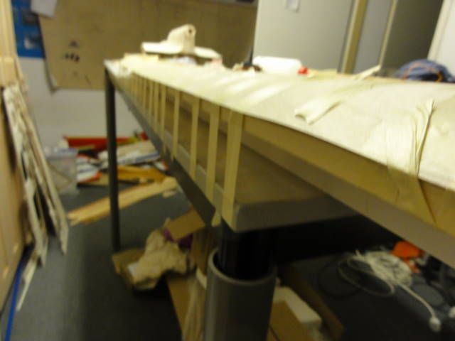 DSC03326.JPG