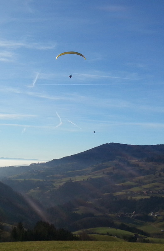 2013-01-08 12.17.29.jpg